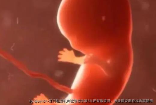 江门私立机构试管成功率5%还有希望吗，专业建议助你成功率翻倍