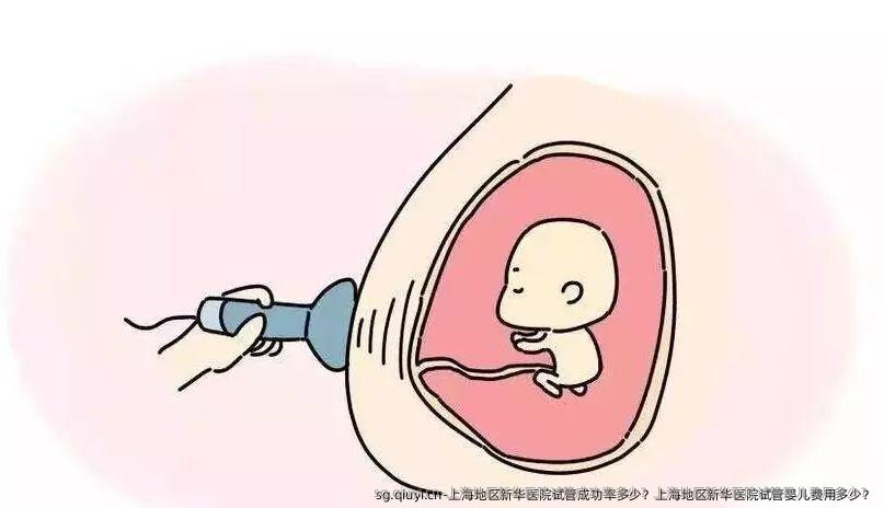上海地区新华医院试管成功率多少？上海地区新华医院试管婴儿费用多少？
