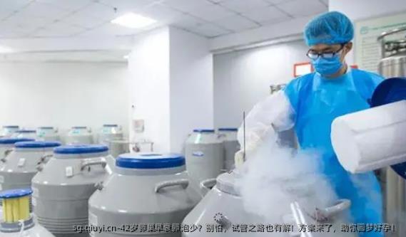 42岁卵巢早衰卵泡少？别怕，试管之路也有解！方案来了，助你圆梦好孕！