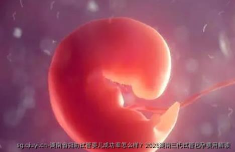 湖南省妇幼试管婴儿成功率怎么样？2025湖南三代试管包孕费用解读
