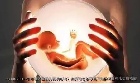 想知道试管婴儿的费用吗？西安妇幼给你最详细的试管婴儿费用指南