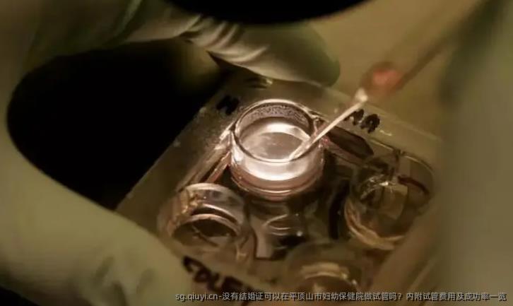 没有结婚证可以在平顶山市妇幼保健院做试管吗？内附试管费用及成功率一览