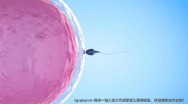 梅州一般人做三代试管婴儿费用明细，详细费用如何收取？