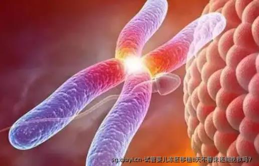 试管婴儿冻胚移植8天不着床还能挽救吗？