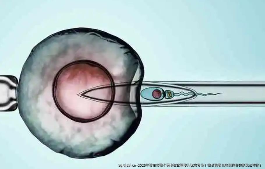 2025年贺州市哪个医院做试管婴儿比较专业？做试管婴儿的流程安排是怎么样的？