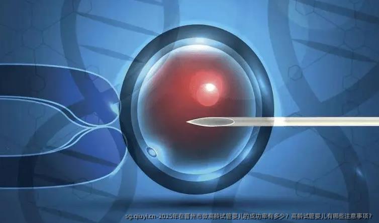 2025年在晋州市做高龄试管婴儿的成功率有多少？高龄试管婴儿有哪些注意事项？