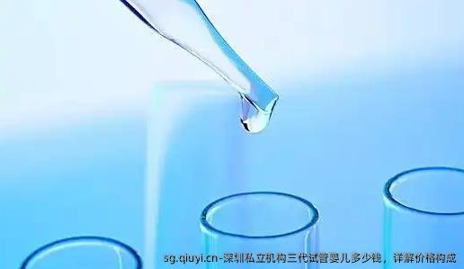 深圳私立机构三代试管婴儿多少钱，详解价格构成