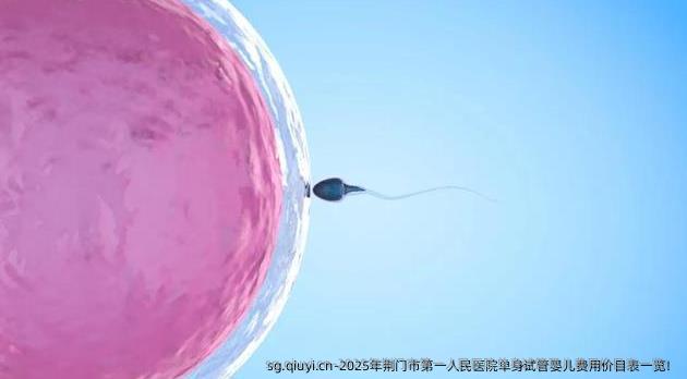 2025年荆门市第一人民医院单身试管婴儿费用价目表一览！