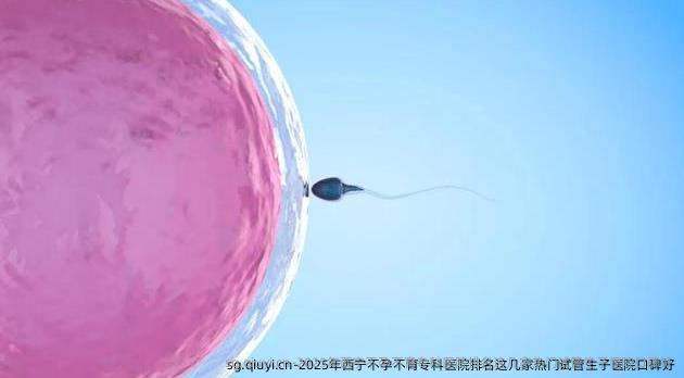 2025年西宁不孕不育专科医院排名这几家热门试管生子医院口碑好