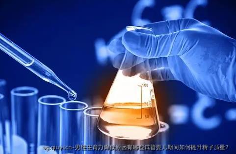 男性生育力降低原因有哪些试管婴儿期间如何提升精子质量？