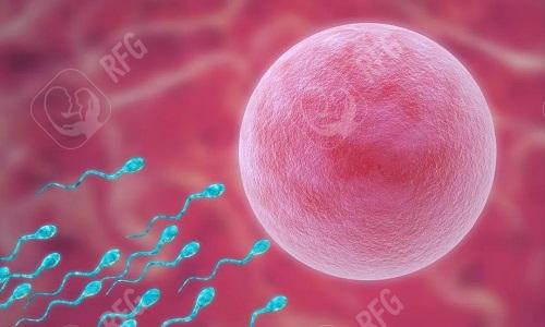 试管婴儿全过程所需时间揭秘，您了解吗？