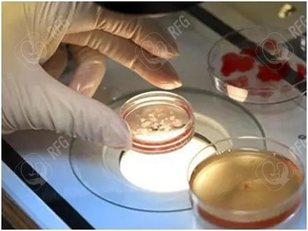 陕西省人民医院生殖中心介绍，做试管优势分析！