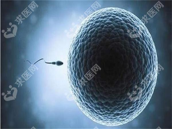 卵巢早衰试管婴儿经验？试管婴儿怎样才能成功？