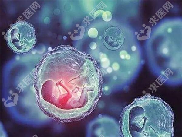 哈尔滨医大一院试管婴儿怎么样？试管成功率高不高？