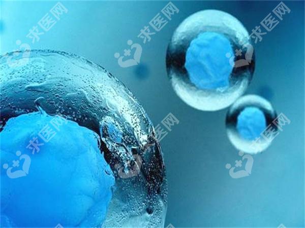 武汉同济医院试管婴儿专家有多少个？排名是怎么样的