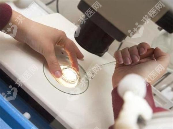 荆州一医试管成功率高吗？影响成功率的3大要素！
