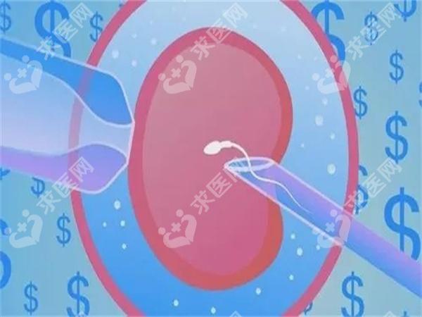 西安省妇幼和唐都医院试管成功率到底哪一个更高呢？成功率有多少