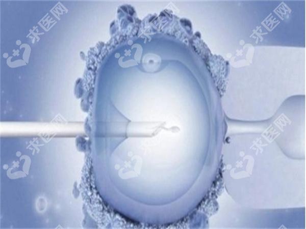自贡一医院可以做试管婴儿吗？一起来看看医院的优势