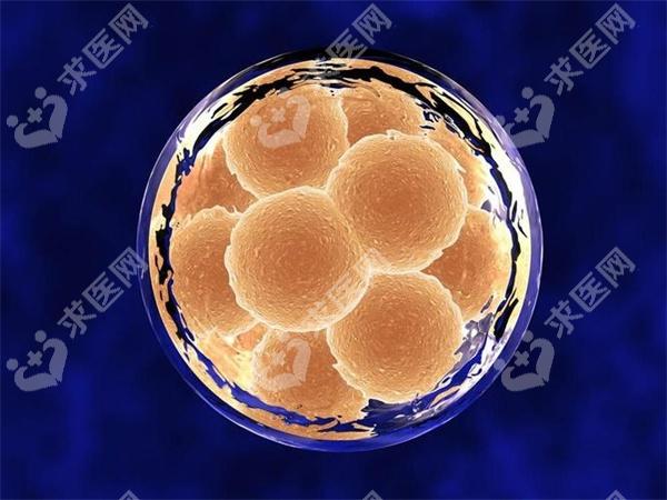 衡阳试管较好的医院是哪家？如何选择医院