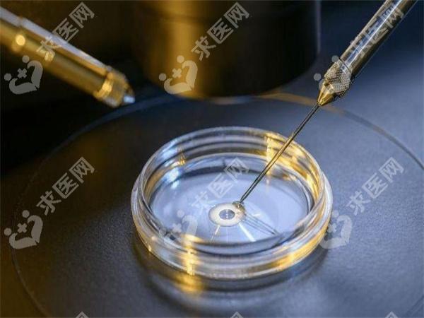 格鲁吉亚试管婴儿费用多少钱？费用明细是怎么样的