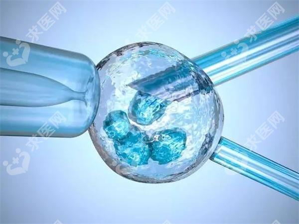 上海试管婴儿医院排名上海前十名的试管婴儿医院都有谁