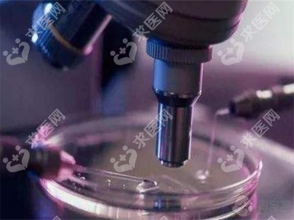 揭阳试管婴儿医院排名哪家试管技术好？