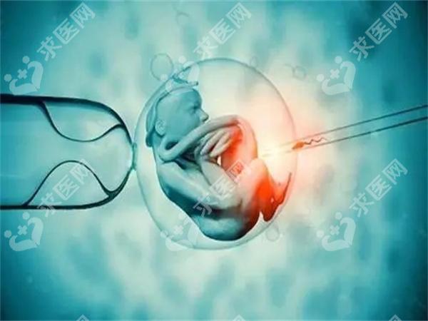 上海做试管婴儿大概需要多少费用？第二代试管婴儿费用大概多少