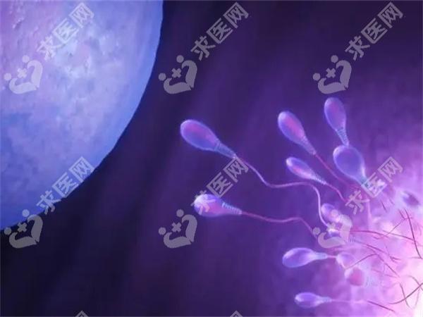 青岛三代试管婴儿费用大公开，费用包含项目全在这里！