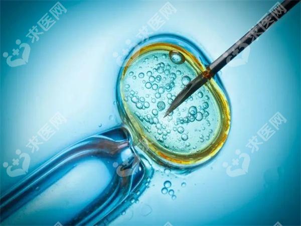 2025中信湘雅医院试管成功率详解(附成功率影响因素一览)