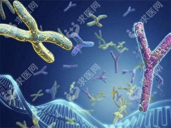 贺州市人民医院做试管婴儿怎么样(附试管成功率、费用明细)