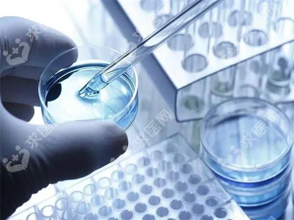 黄石中心医院生殖科做试管婴儿的怀孕成功率怎么样