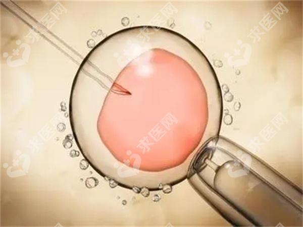 邯郸市妇幼保健院做试管婴儿怎么样(附试管成功率、费用明细)