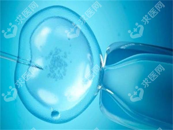 上海试管婴儿成功案例分享，让你更加信任试管婴儿技术!