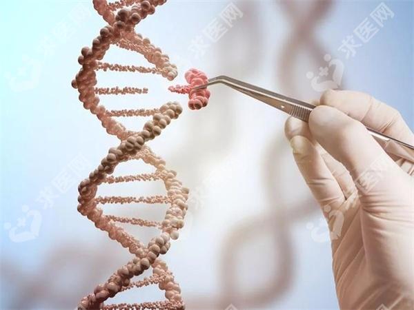 吉林省吉林大学第一医院三代试管婴儿成功率怎么样?需要什么证件?
